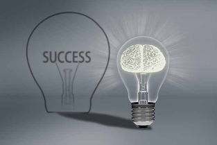 互聯網經濟下的網絡營銷新打法 杭州網絡公司的轉型與創(chuàng)新