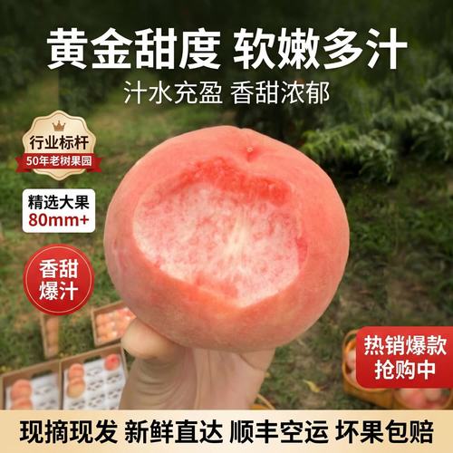 果子猴正宗成都龍泉驛水蜜桃軟桃脆桃應(yīng)季水果生態(tài)種植產(chǎn)地直發(fā)順豐